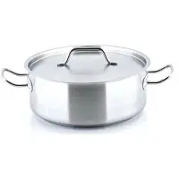 PROFESSIONAL pan, LAAG, Diameter 20 CM H 12 cm, met deksel - 2.5 L