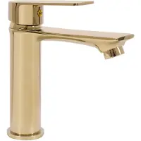 REA Wastafelkraan Mayson Gold Low