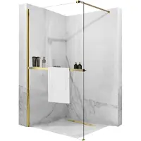 REA Aero Gold Douchewand N 110 Walk In Met Plank En Evo Hanger