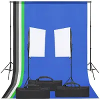 vidaXL Fotostudioset met verlichtingsset en achtergrond