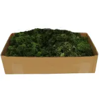 My Village Rendiermos donkergroen 500g