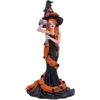 Nemesis Now - Cinnamon 23.5cm Beeld/figuur - Heks - Multicolours