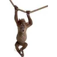 VAN IKKE Muursticker Orang Oetan