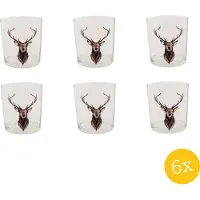 Clayre & Eef Waterglas set van 6 stuks 250 ml Bruin Glas Rendier Drinkbeker