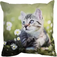 Clayre & Eef Kussenhoes 45x45 cm Groen Polyester Kat Sierkussenhoes Groen Sierkussenhoes