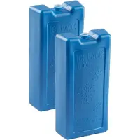 PlasticForte Koelementen - 8x stuks - 1,1 kg - 22 x 11 x 5 cm - extra groot