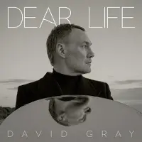 Konkurrent David Gray - Dear Life (CD)