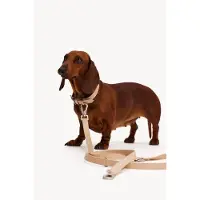 DOGGUO & Loavies Hondenriem EMB-LEASH-SAND-M