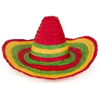 Partyxplosion Mexicaanse Sombrero hoed voor heren - carnaval/verkleed accessoires - multi kleuren - Verkleedhoofddeksels