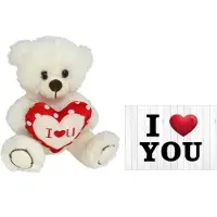 Gerimport Pluche knuffelbeer met I Love hartje - wit/rood - 20 cm - inc. wenskaart - Knuffelberen