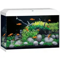 Juwel Aquarium Primo 70 2.0 Met Filter Wit