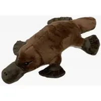Cornelissen - Knuffel - Snaveldier - 28 cm