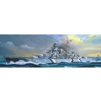 ACADEMY Modelbouwpakket Schepen - 14109 Duits slagschip Bismarck - Kriegsmarine WWII Plastic - 1:350 - Modelbouw