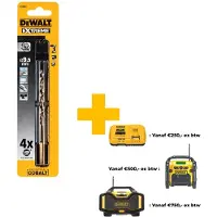 DeWalt DT4964-QZ Metaal-spiraalboor 9.5 mm 1 stuk(s)