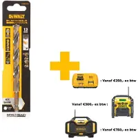 DeWalt DT20619-QZ DT20619-QZ HSS-G Metaal-spiraalboor 1 stuks 13 mm Gezamenlijke lengte 145 mm Corrosiebestendig Zeskant 1 stuk(s)