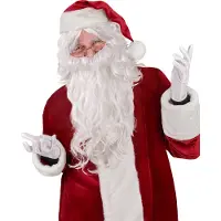 Vegaoo - Kerstmanpruik en baard voor volwassenen