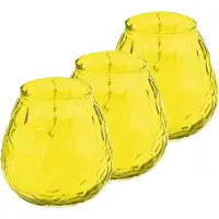 Trend Candles Windlicht - geurkaars - 3x - citronella - 48 branduren