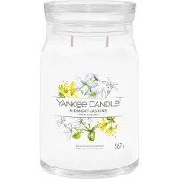 Yankee candle Geurkaars Large Jar Midnight Jasmine Signature 567 Gr