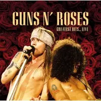 Source1 Guns N' Roses - Greatest Hits Live (LP)