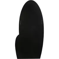 Beliani VIERZON - Wandspiegel - Zwart - 58 x 120 cm - Glas