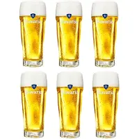 Bavaria Bierglazen - 250 ml - 6 stuks
