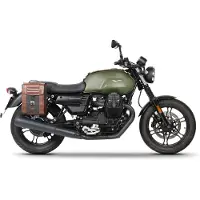 Shad SR Zijtashouder