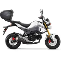 Shad Honda Msx 125 Topkoffer Achtermontage