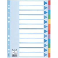 Esselte - Tabbladen A4 11R karton 12-delig met voorblad | 1 set | 10 stuks