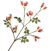 Silk-ka Kunsttak Rozenbottel Geel H 67 Cm