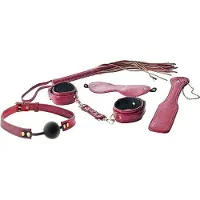 Dream Toys Elite BDSM Setti Punainen