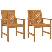 vidaXL Tuinstoelen, 2 stuks, massief acaciahout