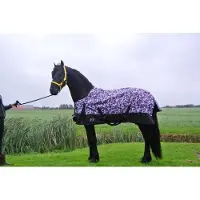 GPD Regendeken luxe 300 gram Zwart/groen winterdeken