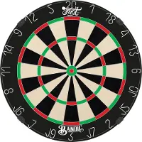Shot Bandit Professional Dartboard