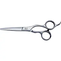 Joewell AR 610 Knipschaar