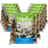 Organifer 1000 Krokussen Bloembollen - Bloembollen Krokus - Krokus - Bloembollen Mix - Biologische Bloembollen - Zomerbollen - (XXL Bloembollen Formaat 8/9 cm) -