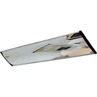 DANCOP Bewakingsspiegel - Acryl - 30 x 100 cm