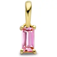The Jewelry Collection 14K geelgoud hanger met geboortesteen 4027210