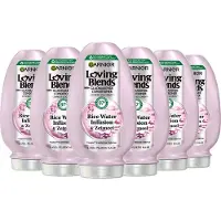 Garnier 6x Loving Blends Rice Water Conditioner 250 ml