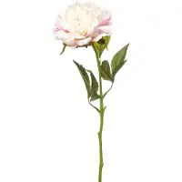 Emerald - Kunstbloem Pioenroos RT 56cm wit/roze - Kunstplant voor binnen