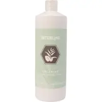 Interline Sauna cabine Eucamint saunageur 1 liter