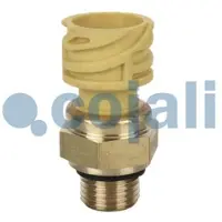 Cojali Turbocompressorcomponent 2260284