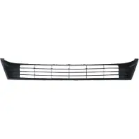 BLIC 6502-07-8119995P Radiator grill