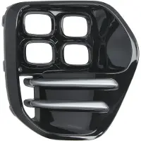 BLIC 6502-07-3296916P Ventilatiegrille, bumper
