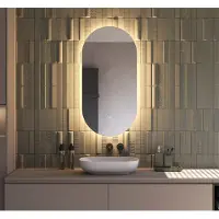 Schaere Ovale badkamerspiegel met indirecte verlichting, verwarming, instelbare lichtkleur en dimfunctie 50x100 cm