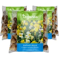 Organifer 250 Narcissen Bloembollen - 6 Elegante Soorten - Bloembollen Narcis - Narcis Bollen - Biologische Bloembollen Mix - (XXL Bloembollen formaat 12/ 14 cm) -