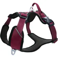 Petlando Hondenharnas Outdoor Aubergine&Zwart - Hondentuig - Xs 38-46 Cm