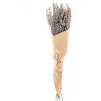 Beliani NAWARRA - Droogbloemen boeket - Natuurlijk - Droogbloemen