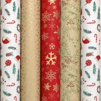 Benza WINTER GARDEN assortiment 100% Recyclet cadeaupapier inpakpapier voor kerstmis - 2 meter x 70 cm - 5 rollen