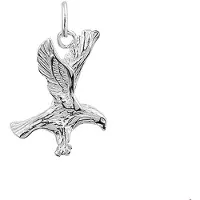 Trendjuwelier huiscollectie Hanger Zilver Adelaar