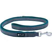 Petlando Trainingslijn Outdoor Grijs&Petrol - Hondenriem - 230x2.5 cm